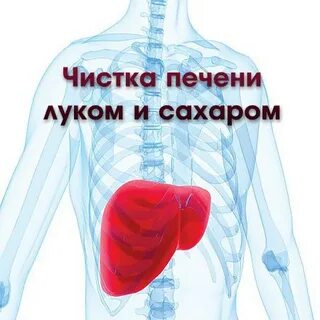 Чем почистить печень отзывы