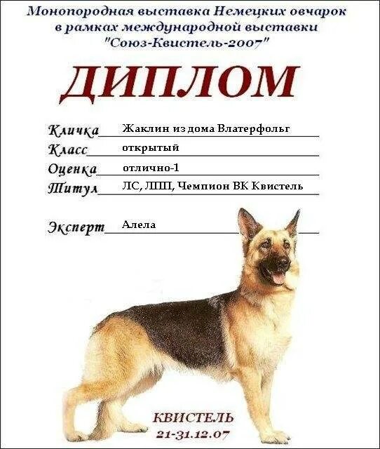 Собачье отчество