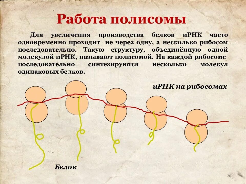 Через несколько