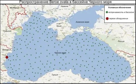 Черноморский бассейн