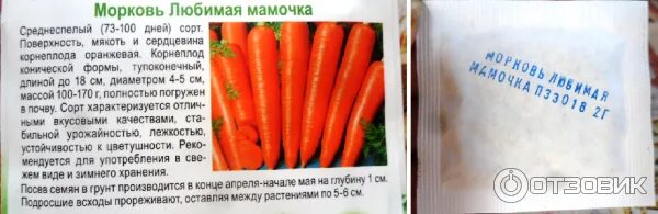 Семена гавриш семена от автора морковь любимая мамочка 2 г. Морковь сорт любимая. Морковь болеро f1 партнер. Морковь любимая. Любовь-морковь.