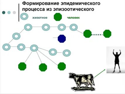 Схема эпидемического процесса