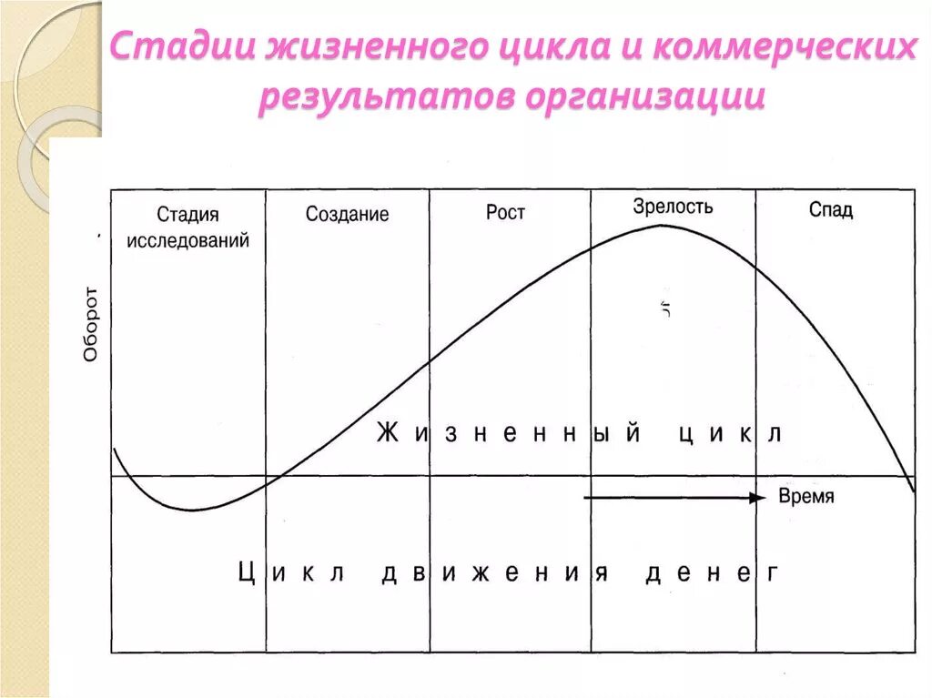 Жизненные стадии компании. Стадия зрелости жизненного цикла. Этапы жизненного цикла. Этапы жизненного цикла организации. Фазы жизненного цикла.