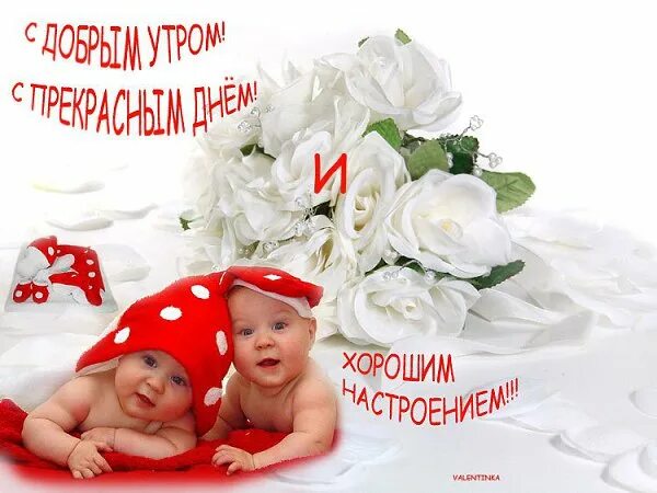 милые пожелания. с добрым утром сестренка. просыпайся сестренка. просыпайся сестренка. люблю целую обнимаю.