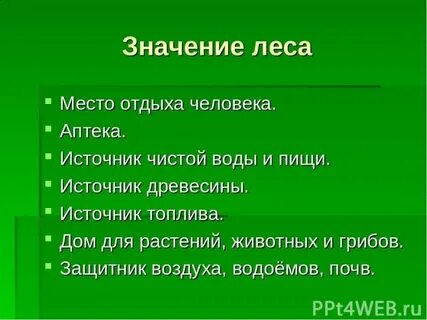 Лес защитник воздуха водоемов и почв
