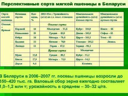 Сколько сортов пшеницы