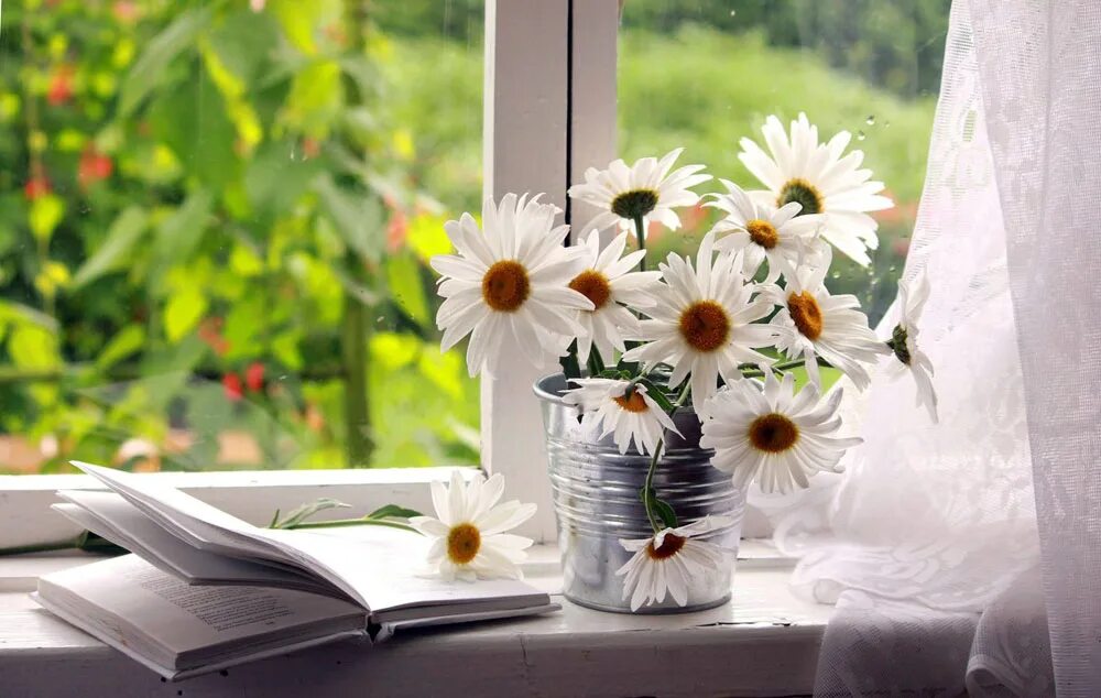 Доброе утро цветы солнце. Букет ромашек на окне. Утренние цветы. Чашка кофе и ромашки. Книги и ромашки.