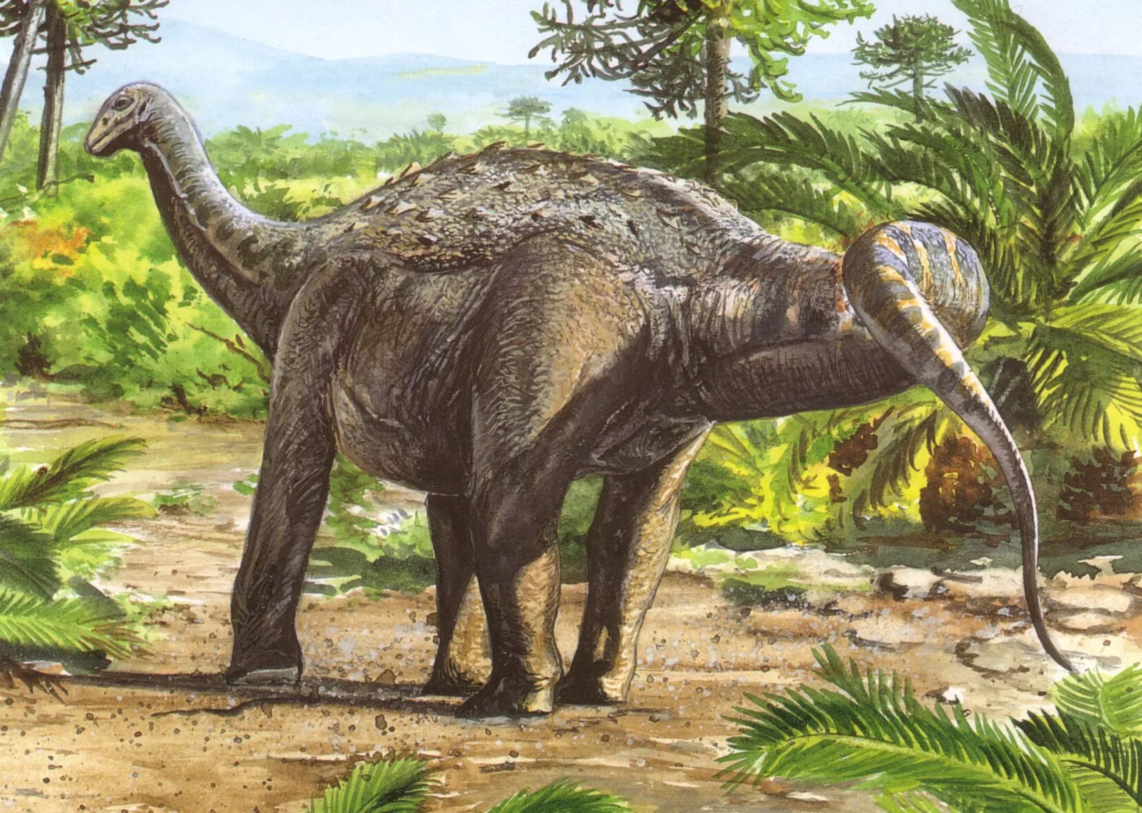 Динозавры это животные. Сальтазавр. Египтозавр. Динозавр. Доисторические динозавры.
