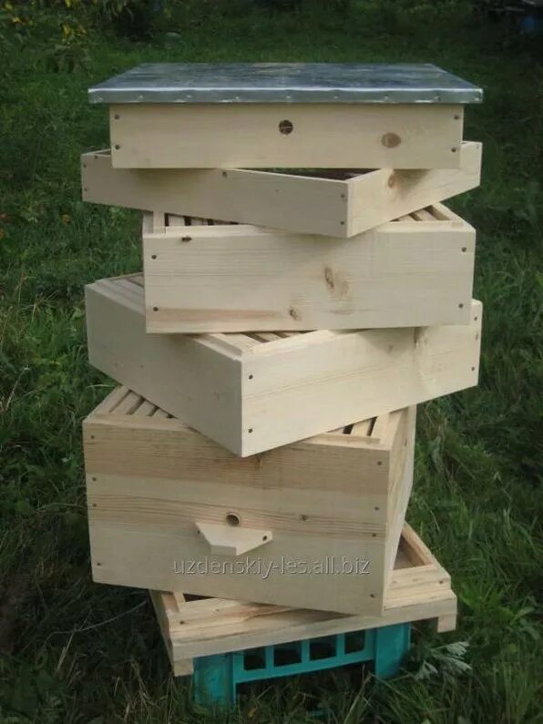 Улей 12-ти рамочный рута. Улей 10-ти рамочный дадана-блатта. Противоварроатозное дно. Улей дадан 10-ти рамочный. Улей 12 рамочный (дадан).