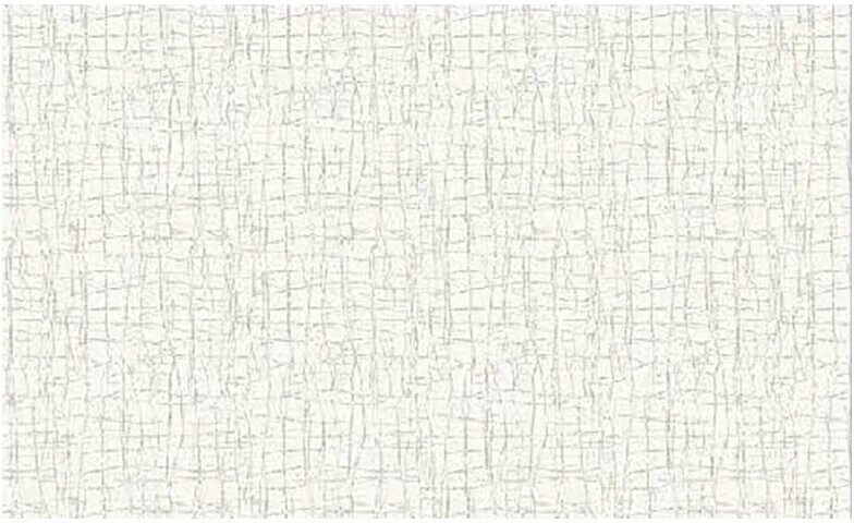 American shorthair кошка рыжая. Пленка рыжий кот. Огненно рыжий кот. Пленка рыжий кот. Пленка рыжий кот.