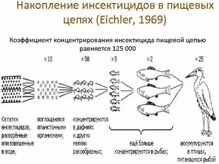 Биологическое накопление