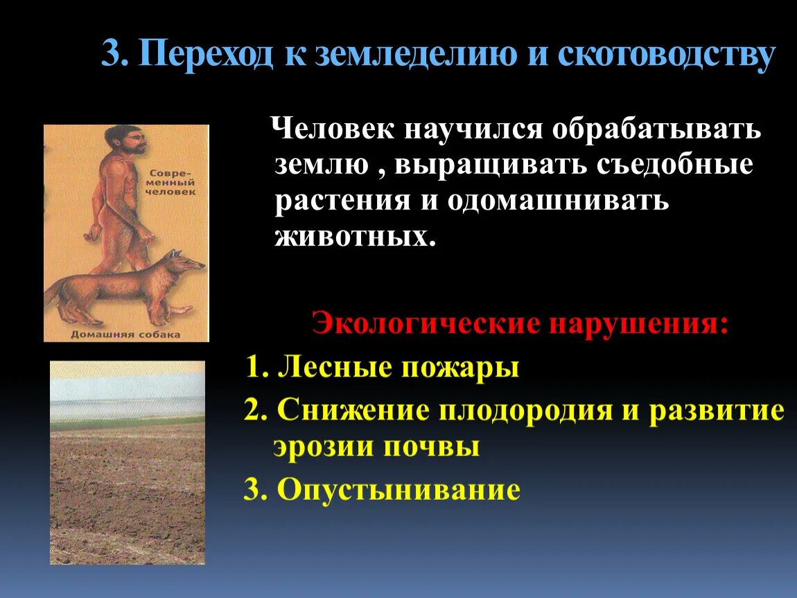 Как земледелие и скотоводство изменило жизнь людей