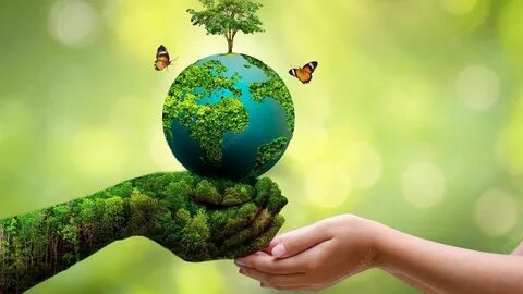 Looking after the environment