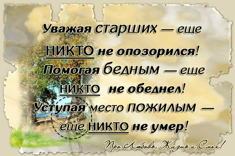 пожилые люди статусы. пожилые люди статусы. высказывания о пожилых людях. хорошие цитаты. цитаты про возраст.