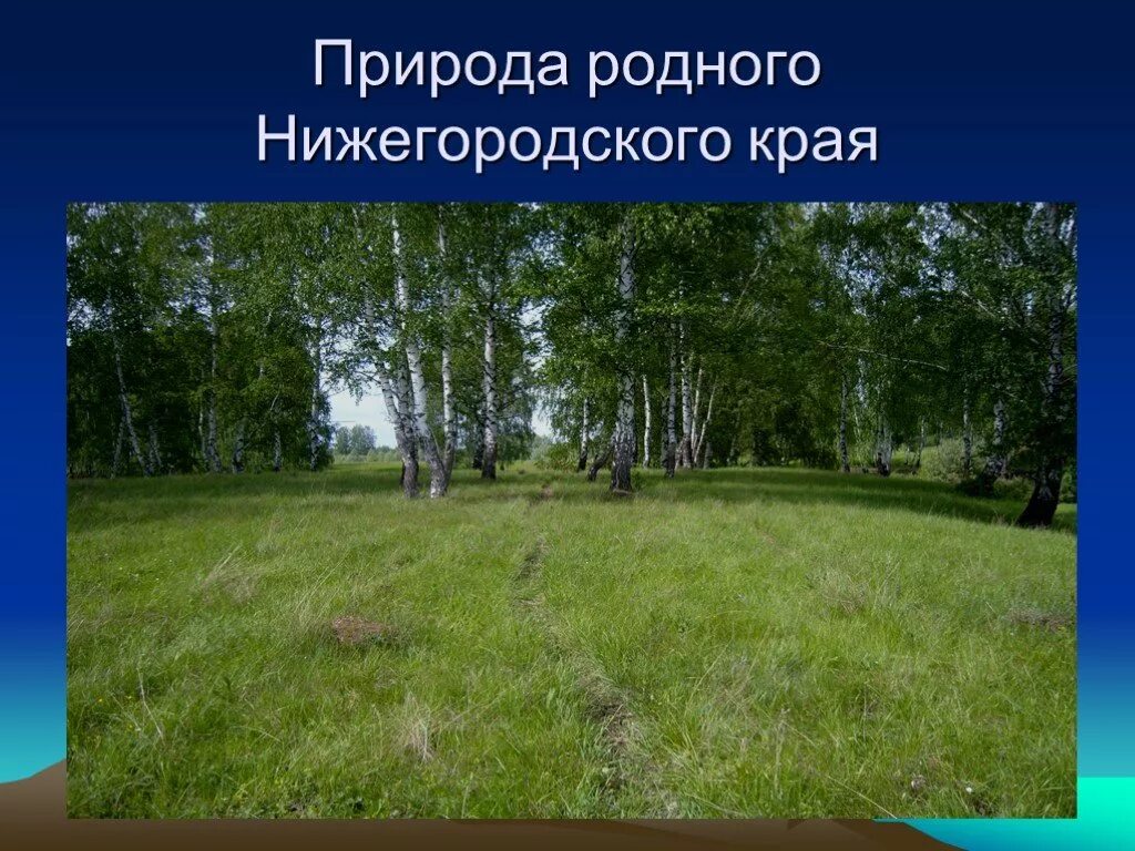 Родной край нижегородской области. Разнообразие природы Нижегородского края. Природа родного края Нижегородского. Природа Нижегородской области презентация. Разнообразие природы родного края Нижегородская область.