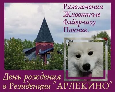 Резиденция арлекино