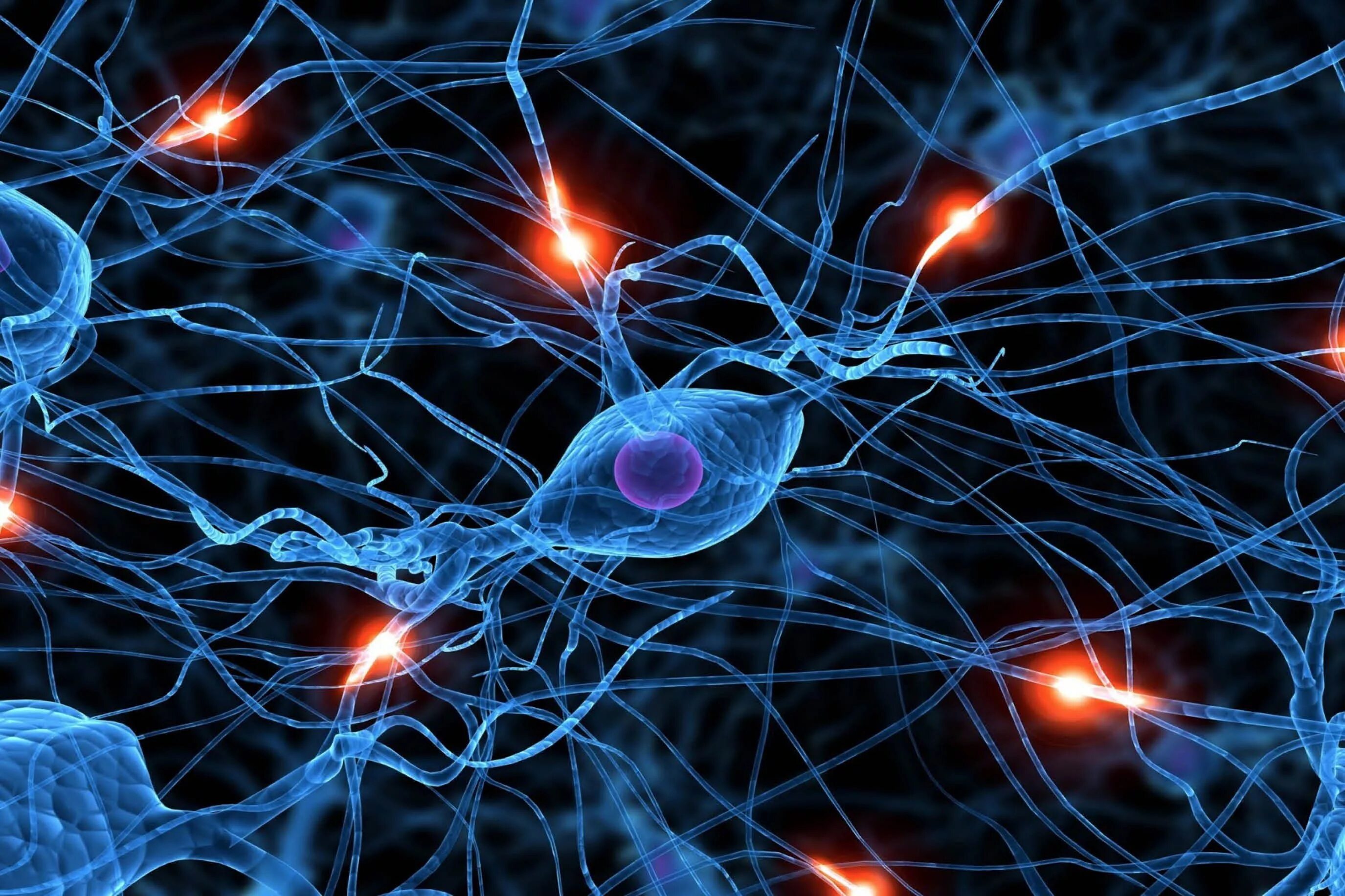Что такое нейро. Синапс нейрона. Нейрон и синапс нейросеть. Синапс в нейронных сетях это. Нервная система человека Нейрон.