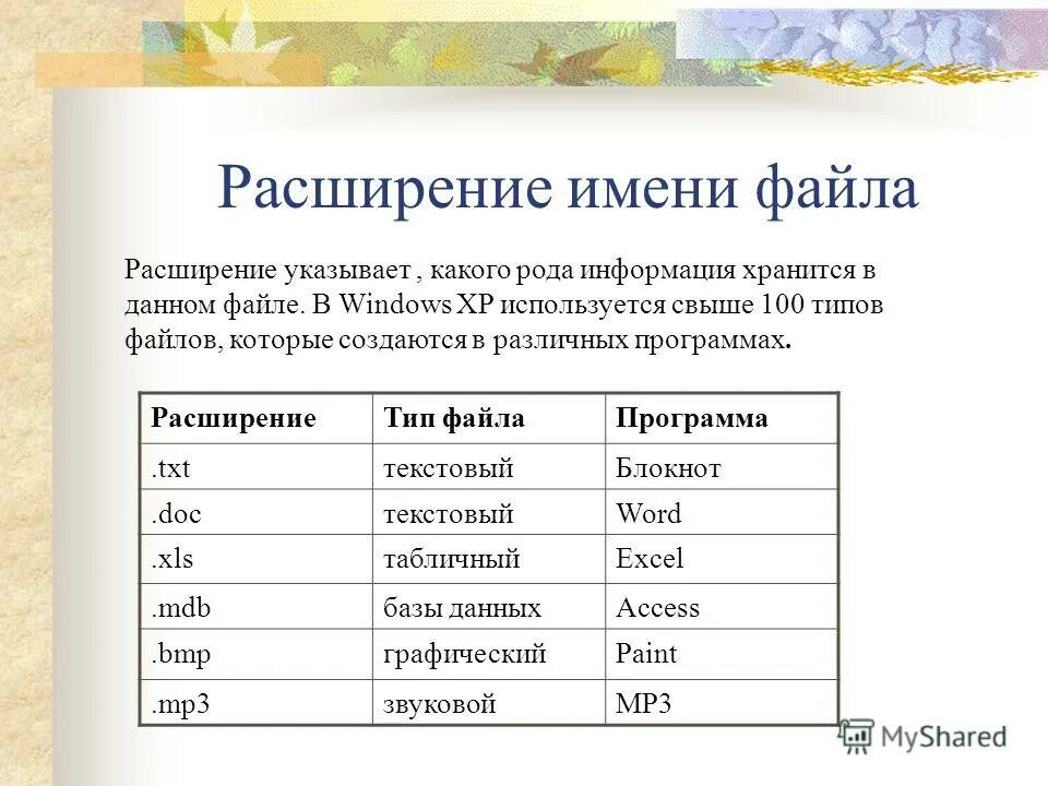 C тип файла. C тип файла