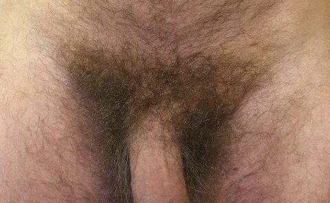 Файл:Justin Hayes male pubic hair.jpg — Викисловарь.