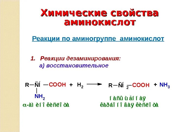 Свойства аминокислот реакции