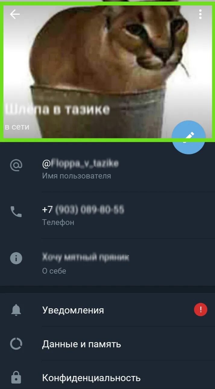 Как добавить аватарку в телеграмм. Как поставить гиф на аватар телеграмма. фото для телеграмма. как поставить анимированную аватарку в телеграмме. прикольные картинки для телеграмма на аватарку.