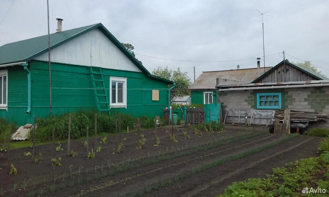 Помурино омская область. Ильичевка москаленский омская. Ильичевка омская область москаленский. Ильичевка омская область. Снять дом в москаленках омской.