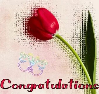 Hello congratulations