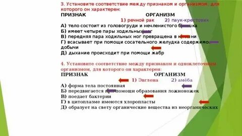 Установите соответствие между царствами и их характеристиками