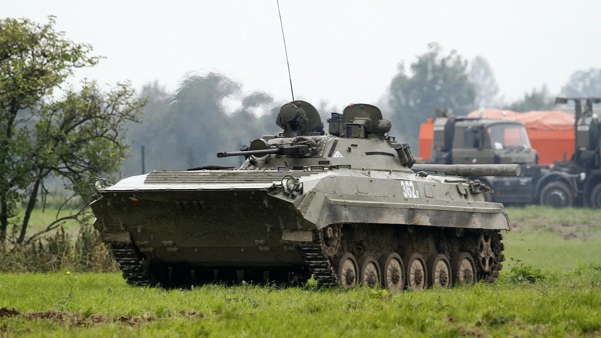 Bmp ms