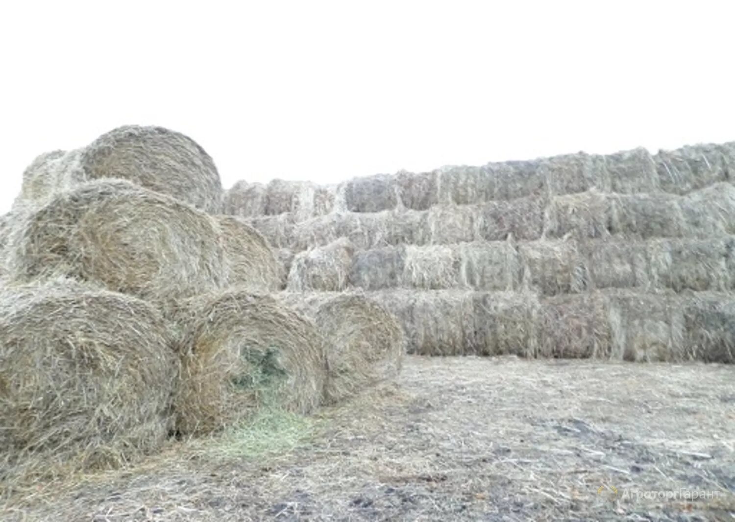 Сенная копна. Деревня поле сенокос. Сено степное. Тюк сена. Сено выборг.