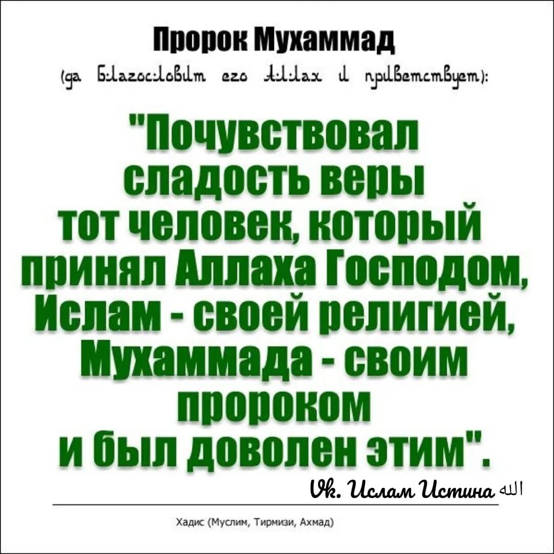 Пророк Мухаммад сказал. ХАЖИСЫ ПРОРОКАМУХАМАДА. Хадисы пророка Мухаммада с.а.в. Хадис Мухаммад с.а.в. Сунна пророка которую он не делал