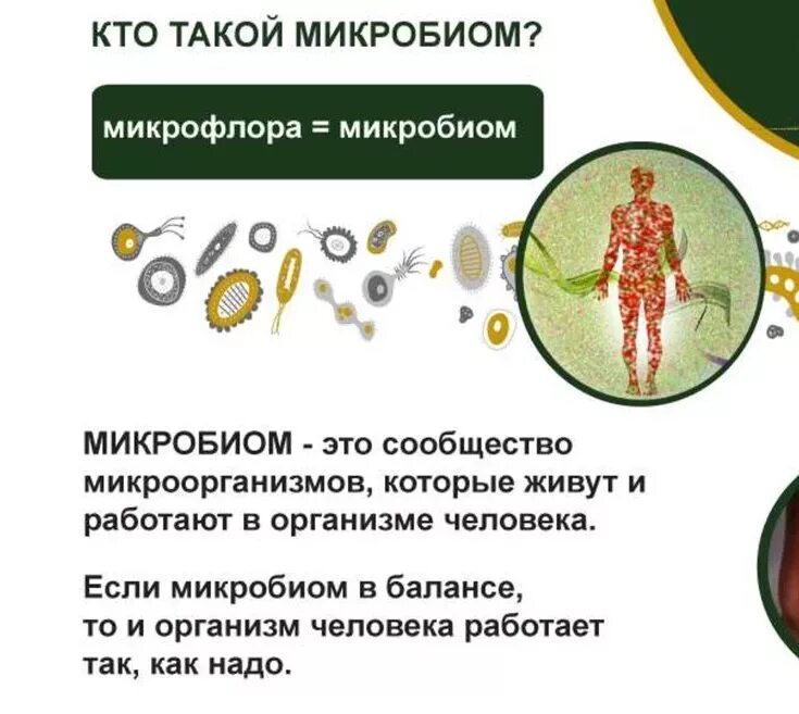 Микробиом это. Микробиом (микробиота). микробиом и микробиота кожи. бактерии в организме. микрофлора и микробиом.