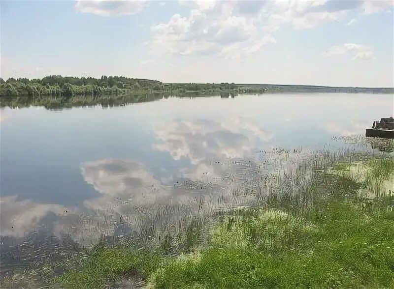 Уровень воды в реке днепр в лоеве. Река Днепр Лоев. Я находится Лоев на Днепре.