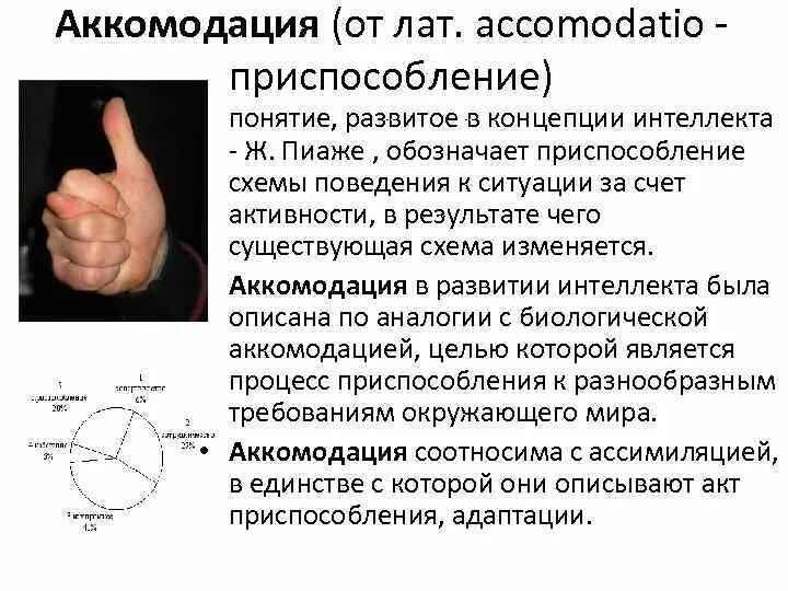 Ассимиляция и аккомодация. Аккомодация и ассимиляция Пиаже. Аккомодация и адаптация. Ассимиляция и аккомодация примеры. Пример аккомодации Пиаже.