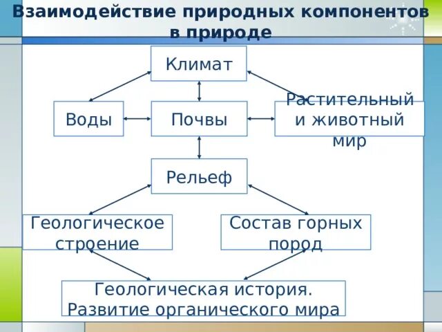 Что относится к природным компонентам. Взаимосвязь компонентов природы. Взаимосвязь элементов природы. Схема взаимодействия природных компонентов. Взаимосвязи между компонентами природы.