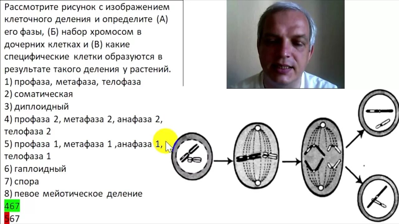 Видео как отличить