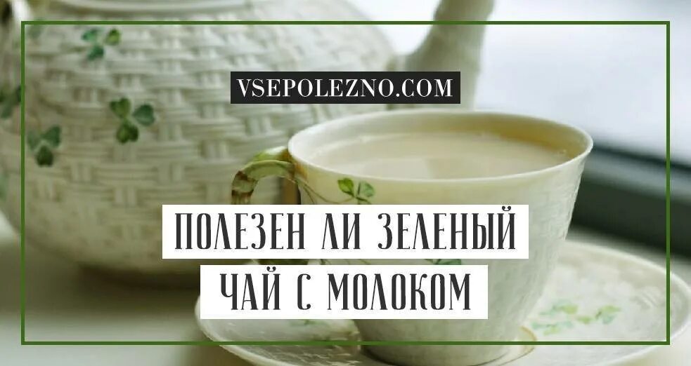 Зелёный чай с молоком польза. Полезнен чай зелёный с молоком. Молоко и зеленая чай ПП. Можно ли пить зеленый чай с молоком