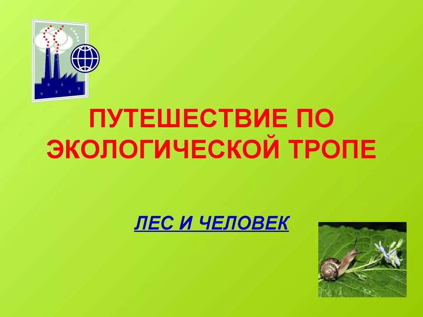 Проект путешествие по экологической тропе. Фон экологическое путешествие. Путешествие по экологической тропе в начальной школе. Презентация путешествие по родному краю. Путешествие по экологической тропе.