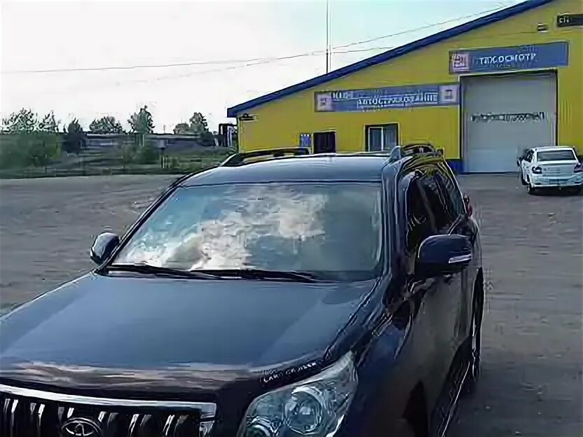 Машина в аренду в нижнем