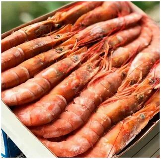 Лангустины с головой