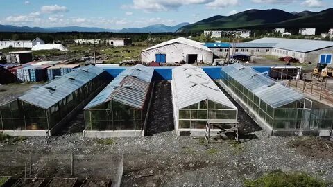 Поселка кулу