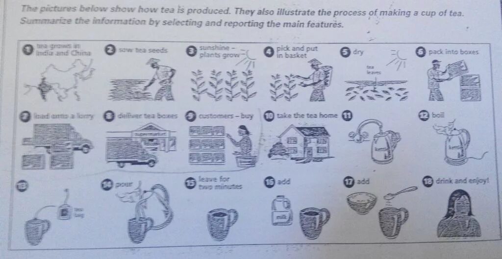 Task 1 тема. Process writing tea ielts. task 1 tea process. ielts task 1 process of making tea. writing process task 1 tea producing.
