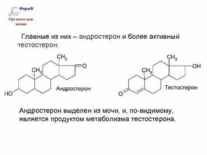 Андростендион это
