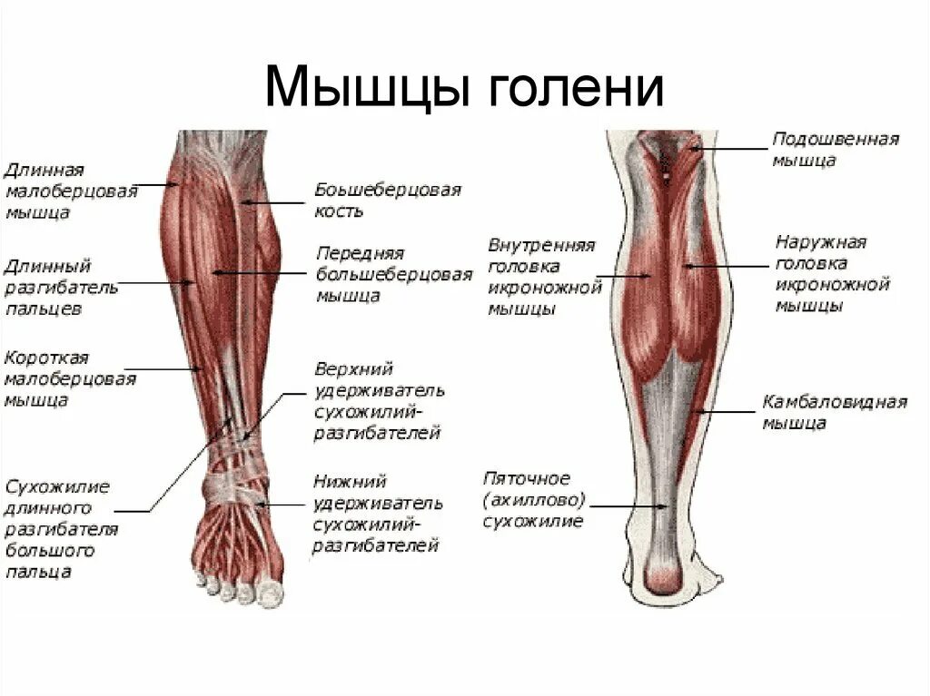Как называется боль в костях
