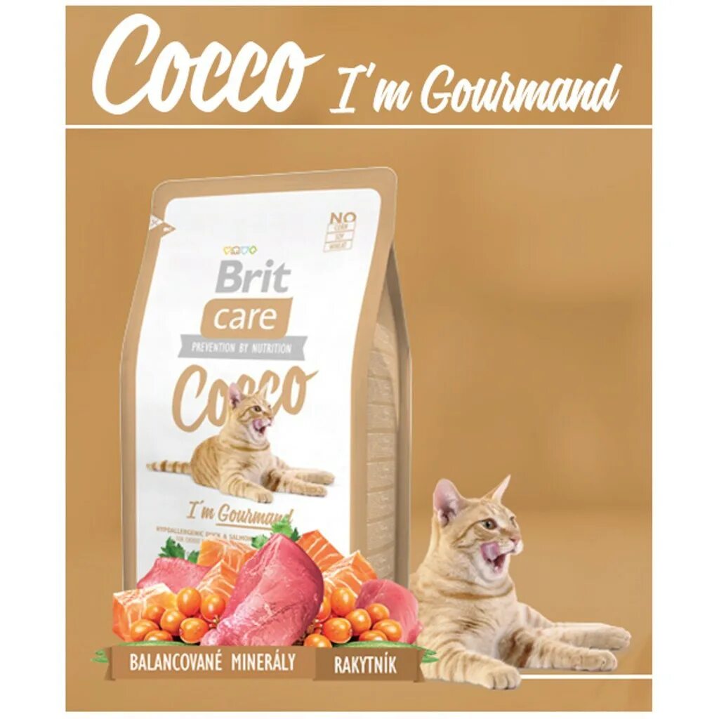 Brit Care Cat cocco Gourmand д/кошек беззерновой. Корм сухой для кошек Brit Care i'm Gourmand 7 кг. Корм Брит для кошек 2 кг. Корм для кошек Brit c лососем. Брит кеа