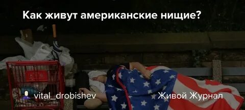 Сколько людей живет в америке 2024