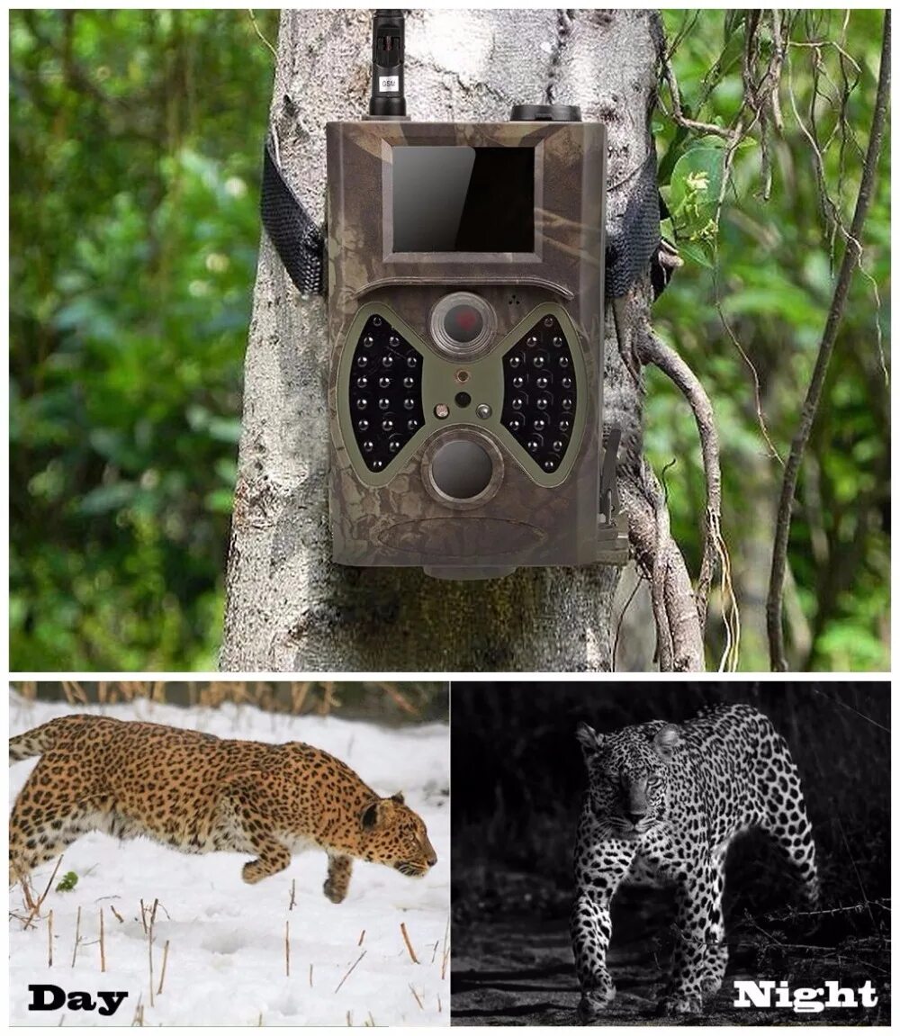 Что такое фотоловушка в биологии. Hunting Trail Camera HC-350m. Фотоловушка Seelock s378. Фотоловушка Trail Camera. Камера охотничья фотоловушка.