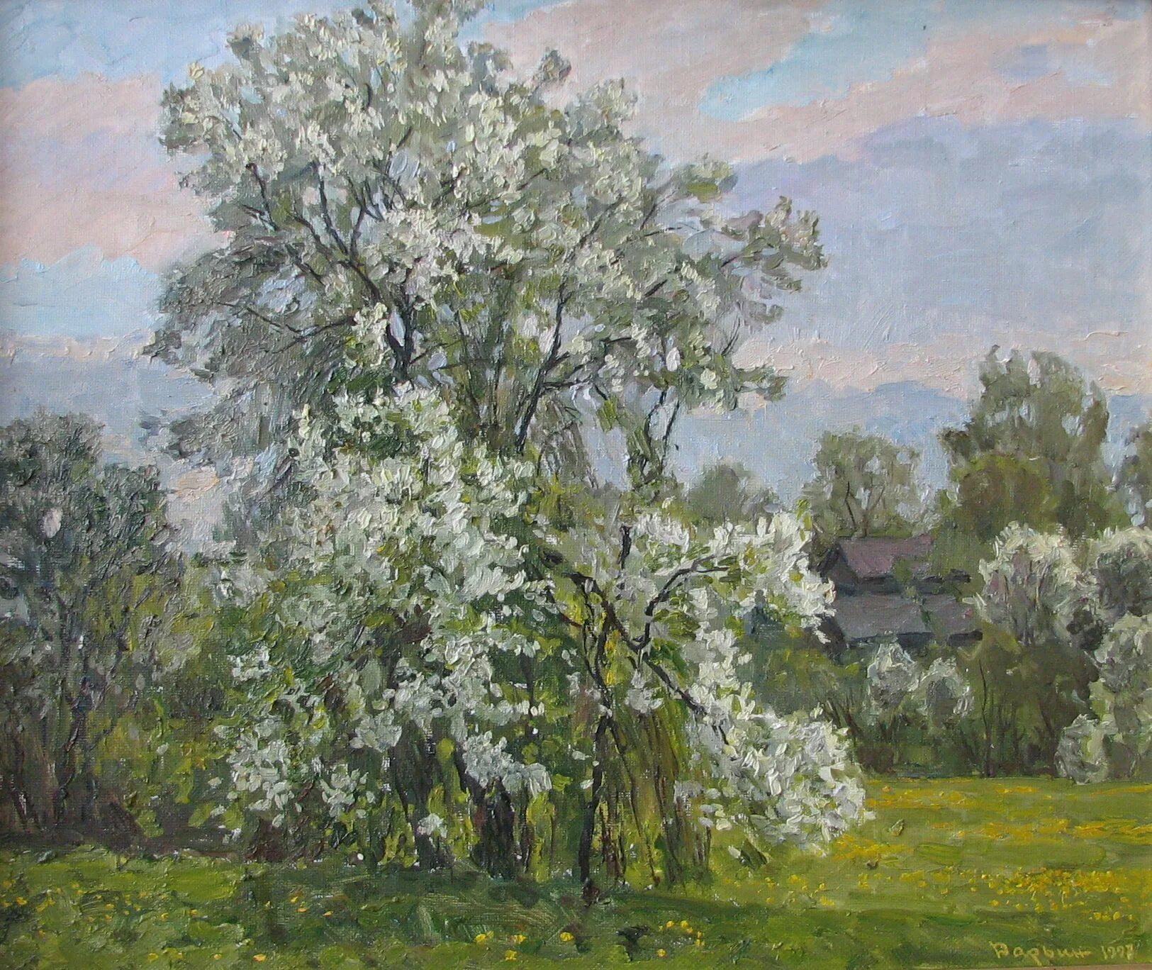 черемуха куст. черёмуха душистая. черемуха есенин дерево. стихи о природе. черемуху и ручей поэт изобразил как живые.