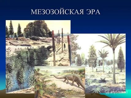 Геологическая эра мезозойская