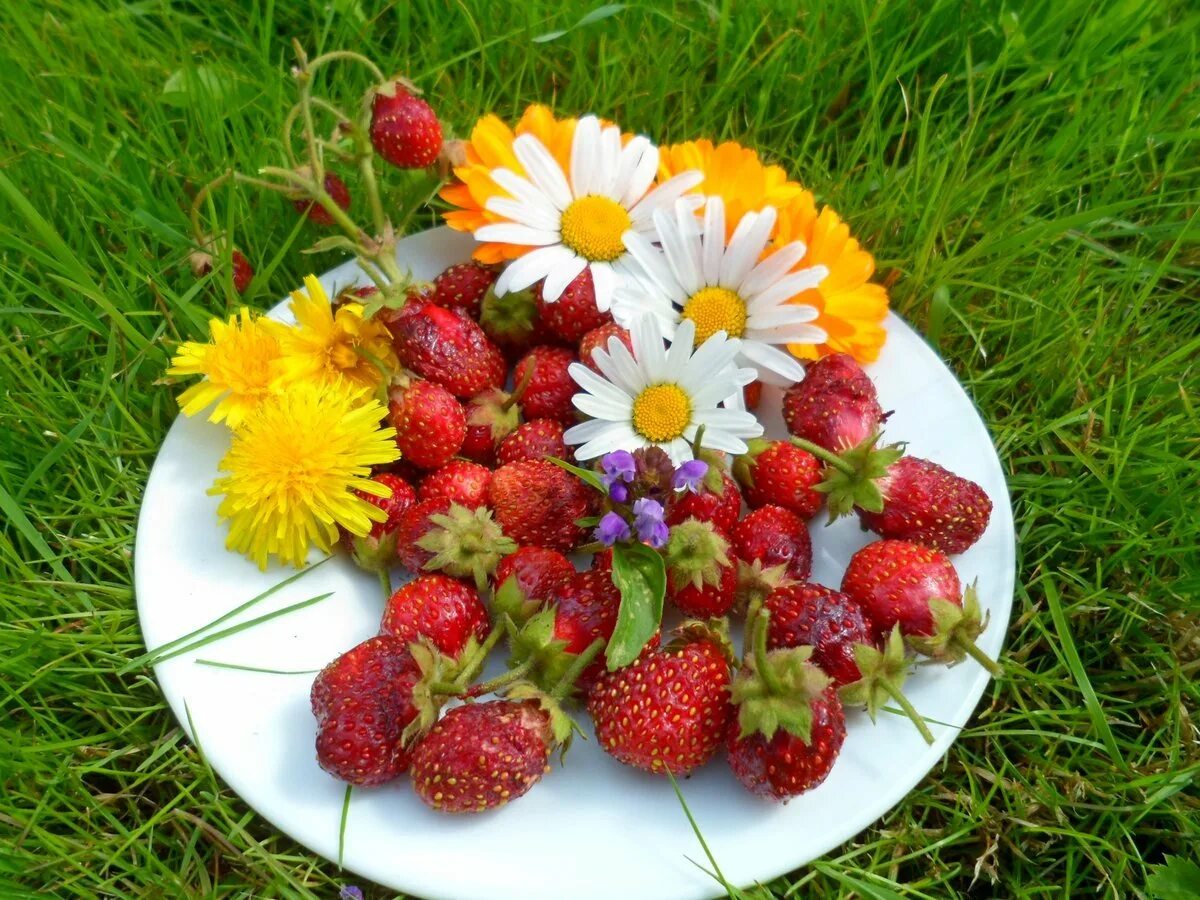 Ах отличный вкус. Летние цветы и ягоды. Лето ягоды цветы. Летний букет ягоды цветы. Букетики летних цветоы и ягод.